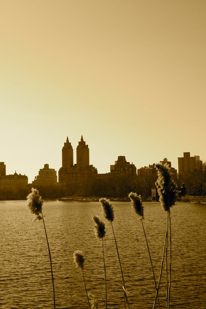 20100307-75-Central-Park.jpg