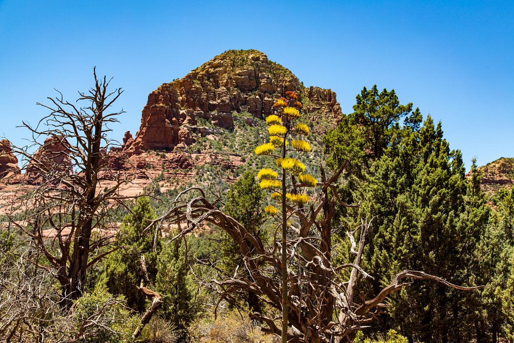 20120612-117-Arizona.jpg