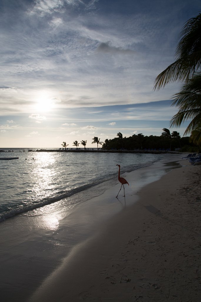 20120819-27-Aruba.jpg