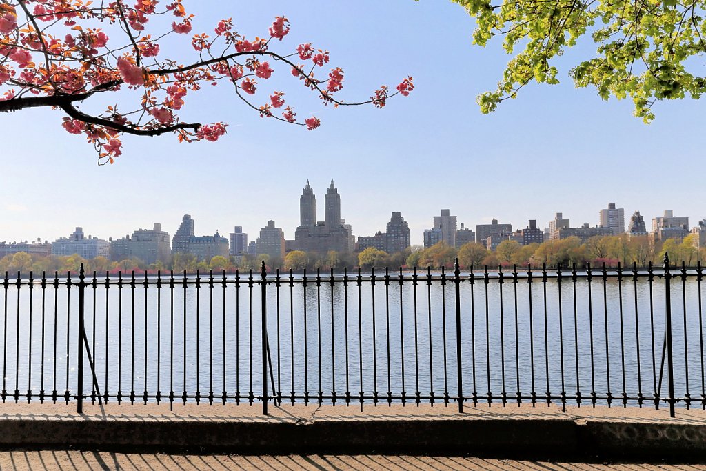 20130427-Boat-Basin-and-Central-Park-110.jpg