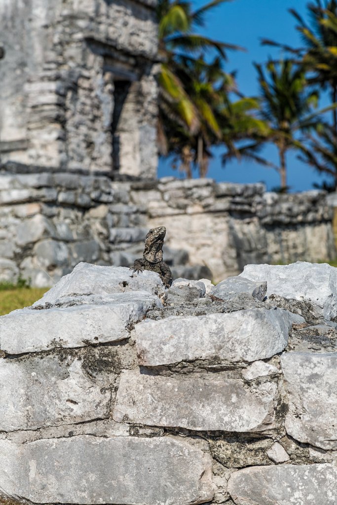 20130525-535-Tulum.jpg